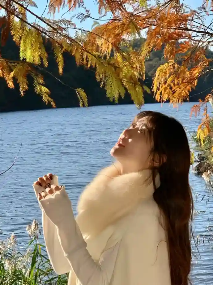 王者助手优化界面